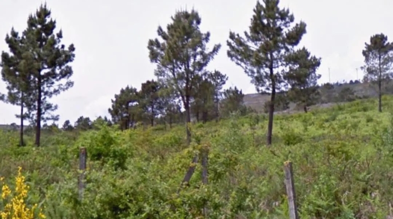 Orense - Melón - 38000m2