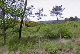 Melón 38000&nbsp;m²