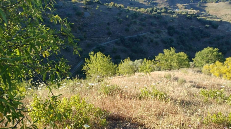 Málaga - Moclinejo - 5000m2