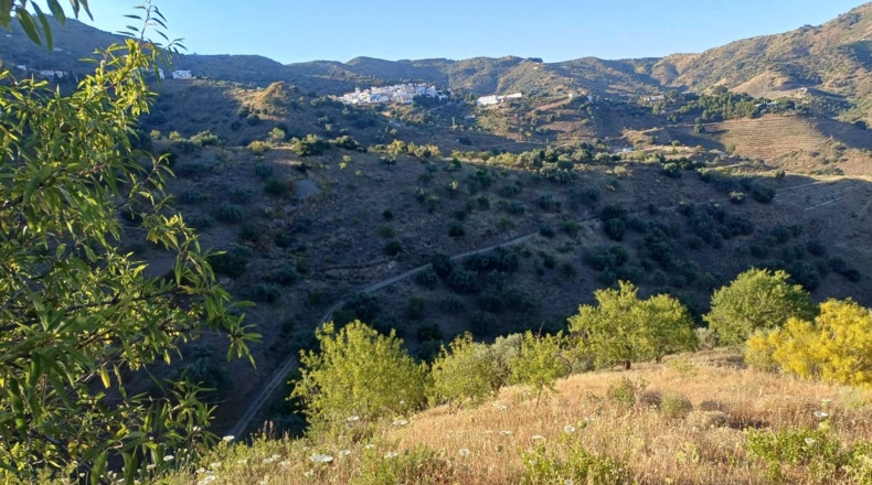Málaga - Moclinejo - 5000m2