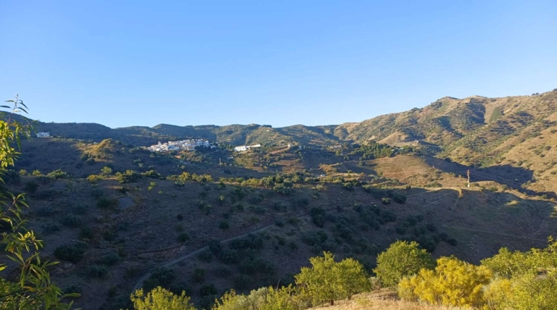 Málaga - Moclinejo - 5000m2