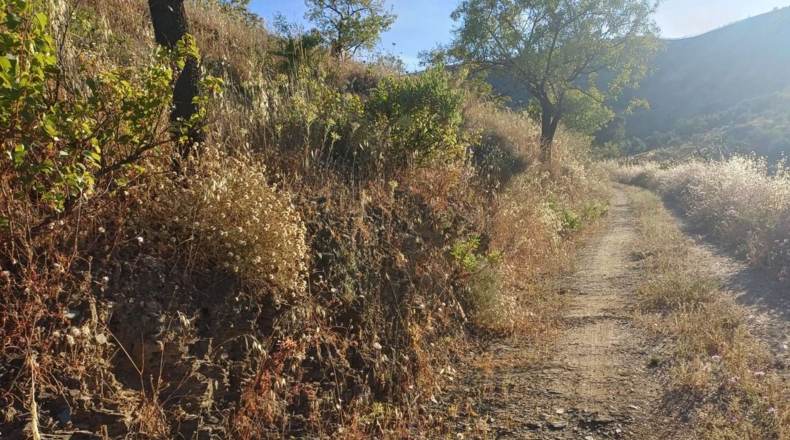 Málaga - Moclinejo - 5000m2