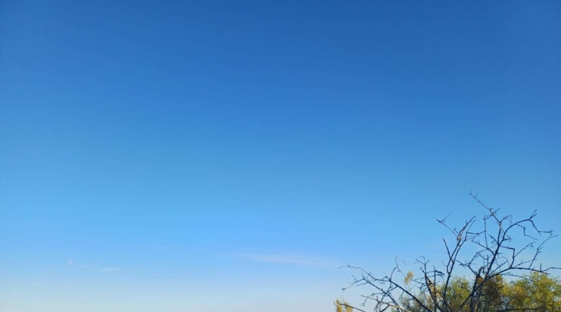 Málaga - Moclinejo - 5000m2