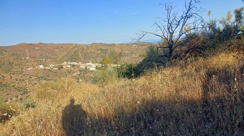 Málaga - Moclinejo - 5000m2