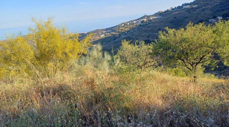 Málaga - Moclinejo - 5000m2