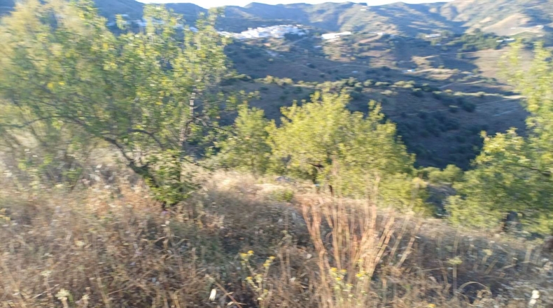 Málaga - Moclinejo - 5000m2
