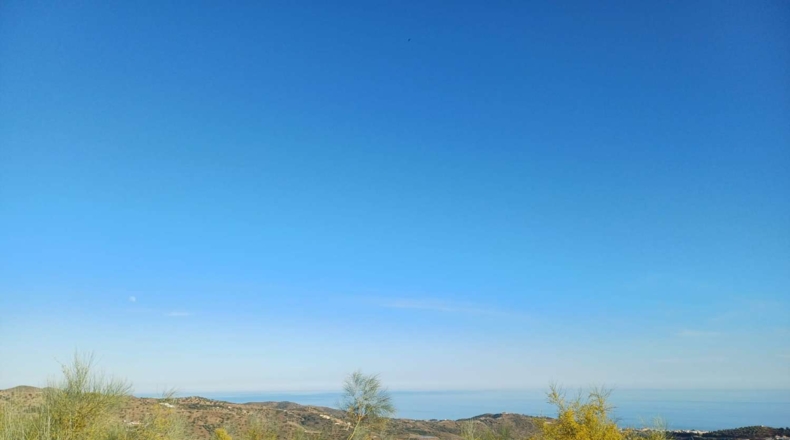 Málaga - Moclinejo - 5000m2