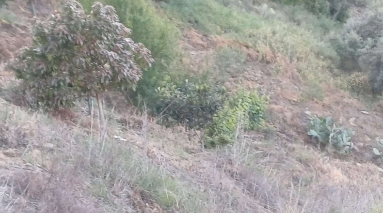 Málaga - Moclinejo - 5100m2