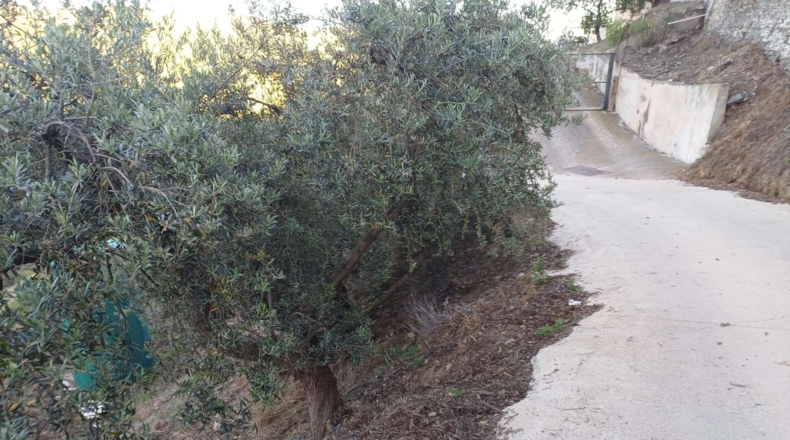 Málaga - Moclinejo - 5100m2
