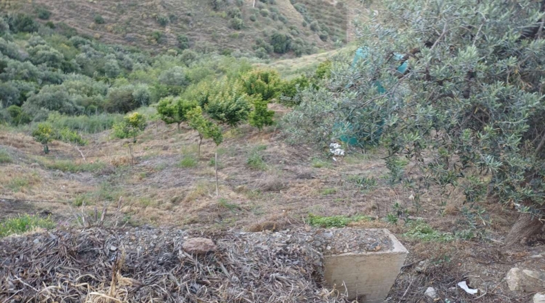 Málaga - Moclinejo - 5100m2