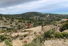 Foto 10