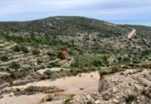Urban land for sale in Peníscola ref: TR107145 photo
