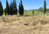 Terreny no urbanitzable en venda a la España, Molina de Segura, ref.: TR410923 foto