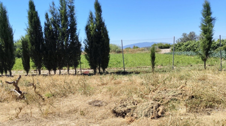 Múrcia - Molina de Segura - 599m2