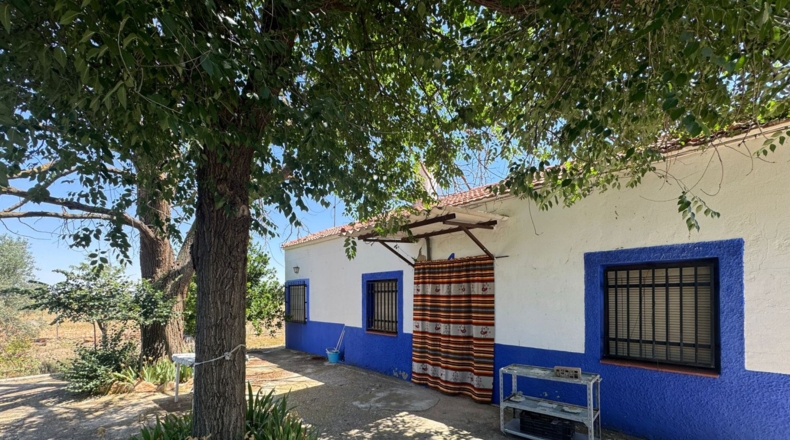 Сьюдад-Реаль - Valdepeñas - 11468m2