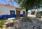 Rural estate for sale in Valdepeñas ref: TR410924 photo