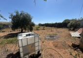 Rural estate for sale in Valdepeñas ref: TR410924 photo