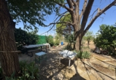 Rural estate for sale in Valdepeñas ref: TR410924 photo