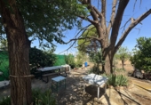 Rural estate for sale in Valdepeñas ref: TR410924 photo