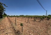Rural estate for sale in Valdepeñas ref: TR410924 photo