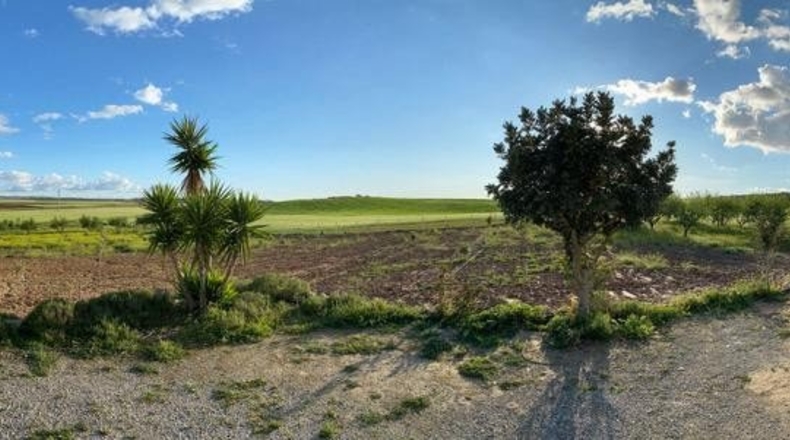 Sevilla - Lebrija - 27808m2