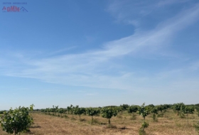 Ciudad Real 170000&nbsp;m²