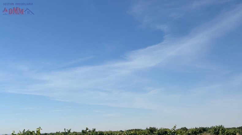 Ciudad Real - Ciudad Real - 215000m2