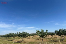 Ciudad Real 170000&nbsp;m²