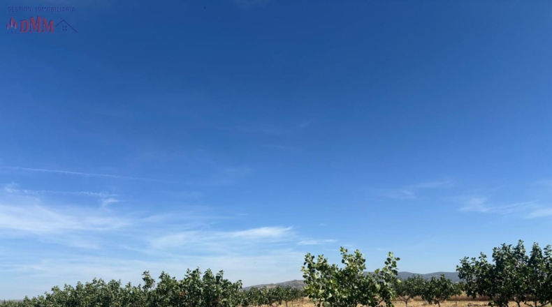 Ciudad Real - Ciudad Real - 215000m2