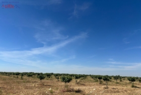 Ciudad Real 170000&nbsp;m²