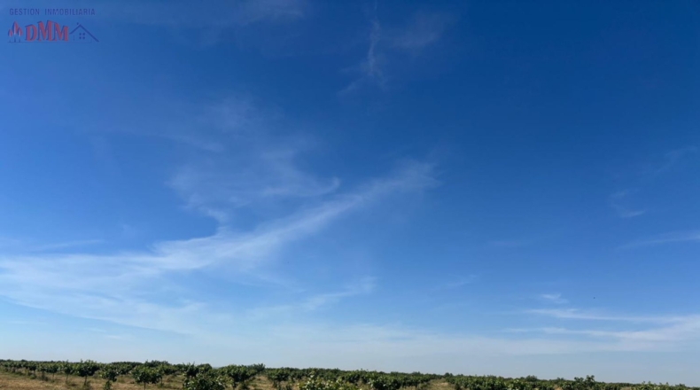 Ciudad Real - Ciudad Real - 215000m2