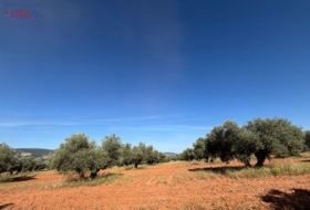 Malagón 35707&nbsp;m² 