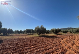 Malagón 35707&nbsp;m² 