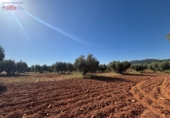 Terreno no urbanizable en venta en Malagón ref: TR410933 foto