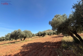 Malagón 35707&nbsp;m² 
