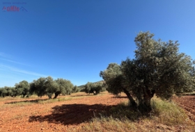 Malagón 35707&nbsp;m² 