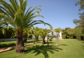 Vil·la amb terreny en venda a Marbella ref.: TR187571 foto