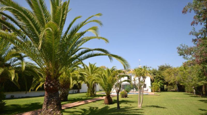 Málaga - San Pedro de Alcántara - 3200m2