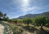 Country house with land for sale in Sierra Engarcerán ref: TR410942 photo
