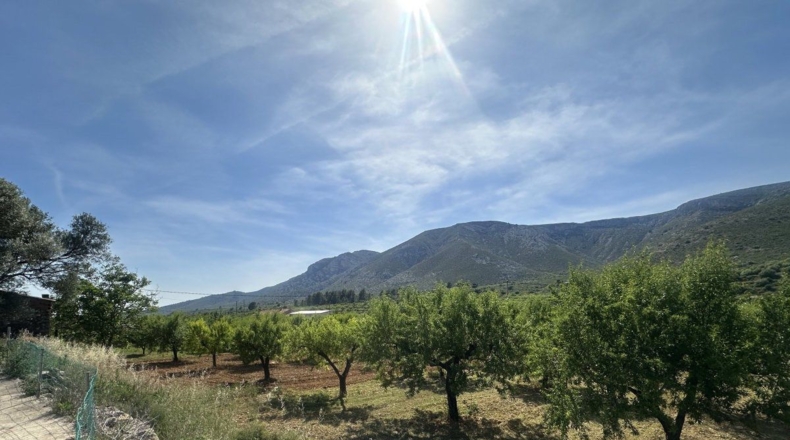 Castellón - Sierra Engarcerán - 4156m2