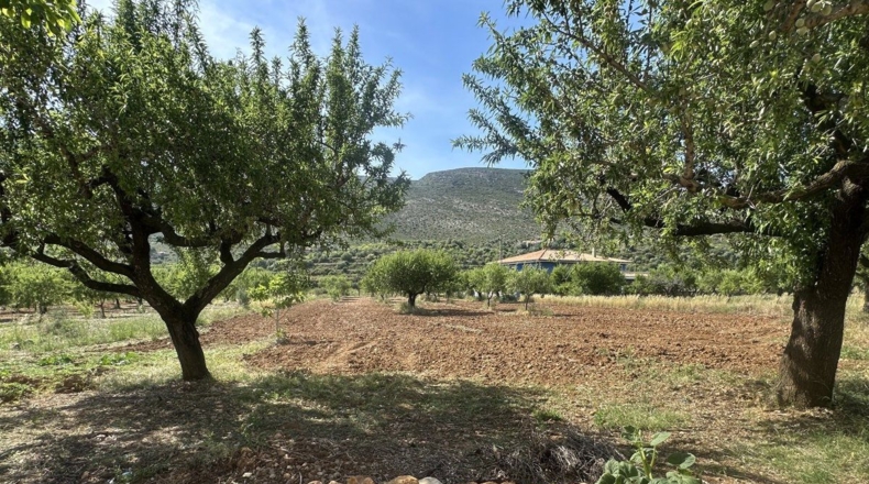 Castellón - Sierra Engarcerán - 4156m2