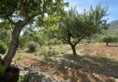 Country house with land for sale in Sierra Engarcerán ref: TR410942 photo