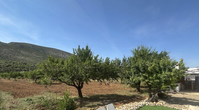Castellón - Sierra Engarcerán - 4156m2
