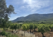 Country house with land for sale in Sierra Engarcerán ref: TR410942 photo