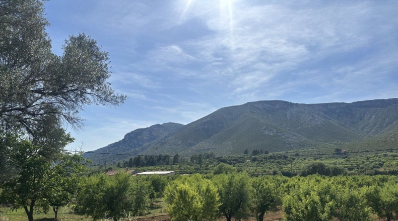 Castellón - Sierra Engarcerán - 4156m2