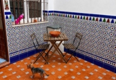Casa de pueblo en venta en Alcalá de Guadaíra ref: TR406285 foto