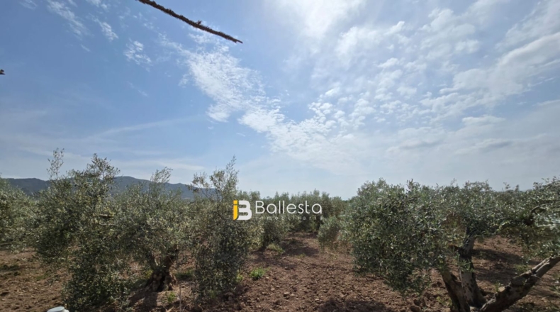 Almería - Huércal-Overa - 11560m2