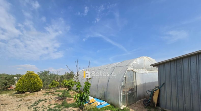 Almería - Huércal-Overa - 11560m2