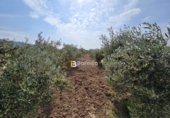 Non-developable land for sale in Huércal-Overa ref: TR410948 photo