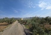 Non-developable land for sale in Huércal-Overa ref: TR410948 photo